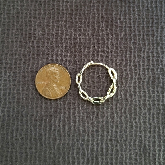 ✨️HP✨️Stella Rose🌹Gold💛 Chain🔗 Link Hoop Earrings - Picture 6 of 14